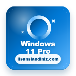 Windows 11 Pro Dijital Lisans Key